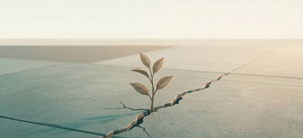Calm workspace with a person practicing a short daily meditation, building a consistent mindfulness habit at work